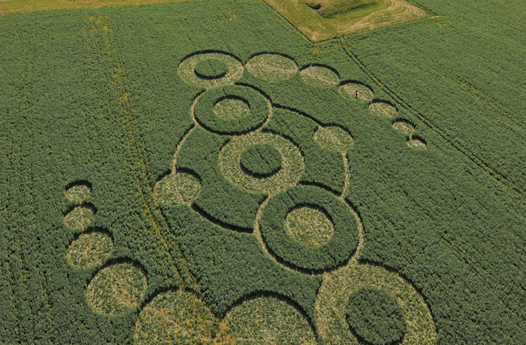 Crop Circles & Mysterious Balls of Light, By Geoff Fitzpatrick ...