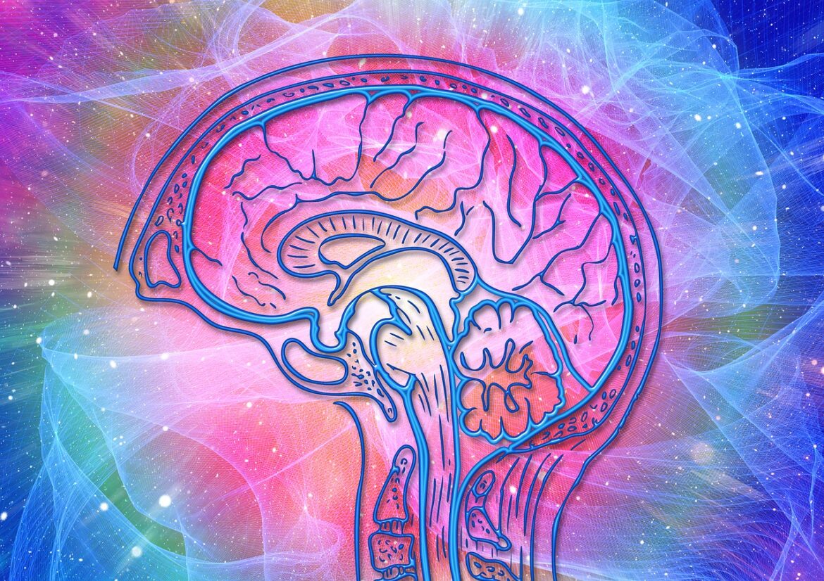 brain-g509bd771a_1280