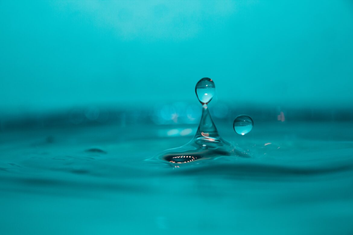 elias-kauerhof-RXjeUppF9LM-unsplash