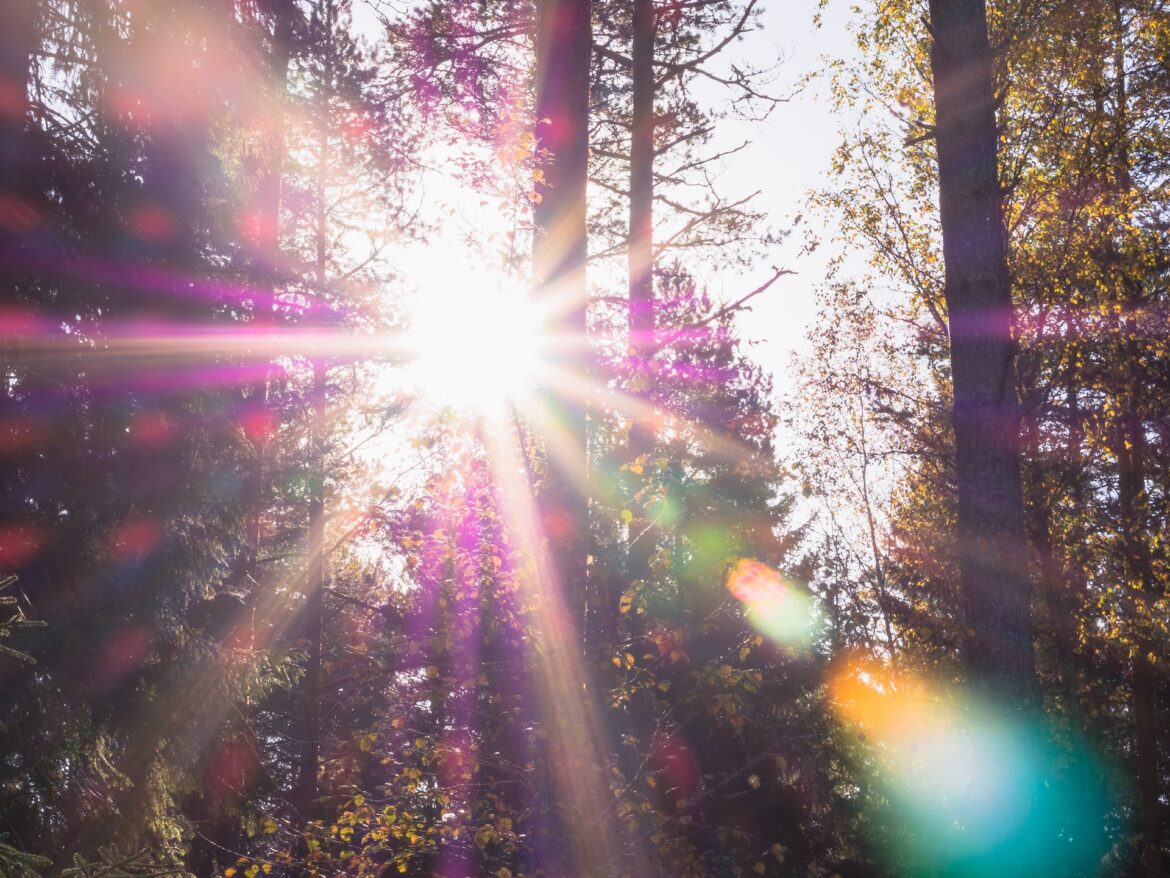 patrick-5E-_orYLhs0-unsplash