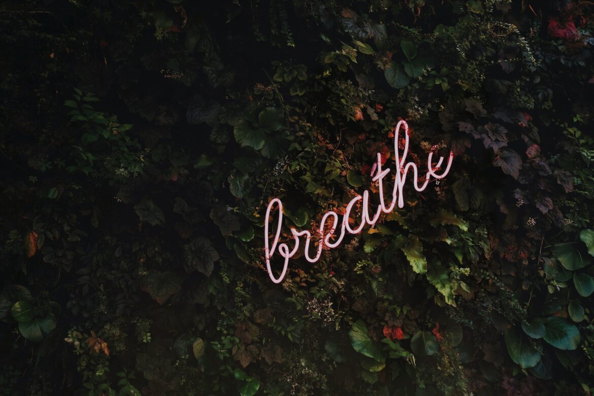 tim-goedhart-vnpTRdmtQ30-unsplash (1)