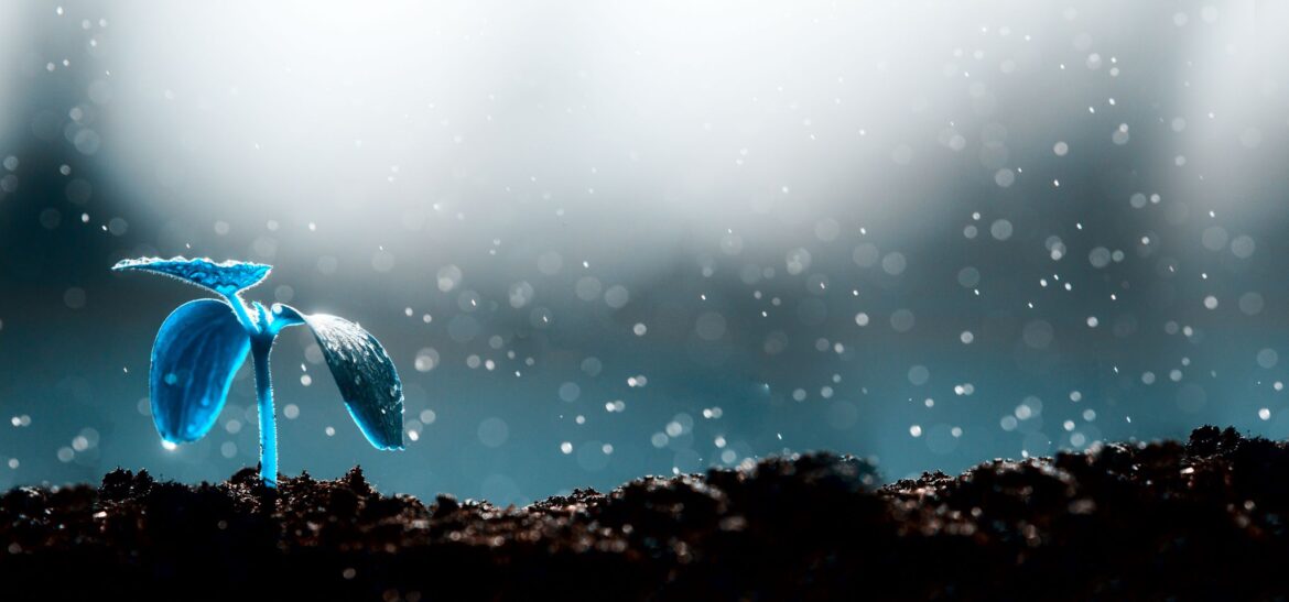 The Little Things (1)