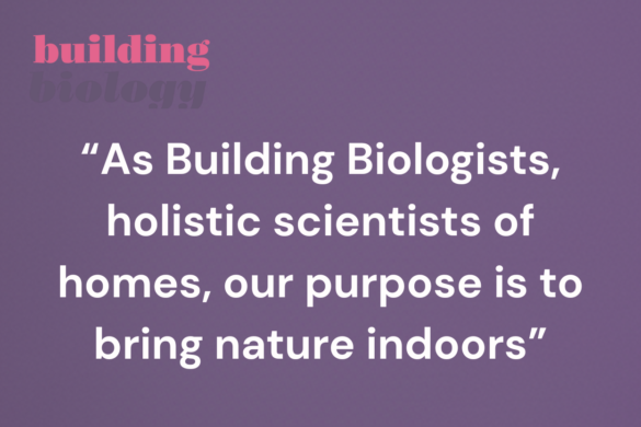As Building Biologists, holistic